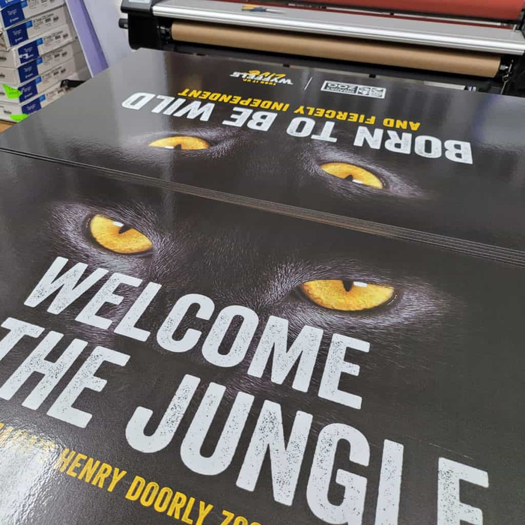 Jungle Print